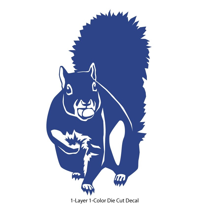 Animals – Wild Life – Tree Squirrel 1 Laptop, Car, Bumper, Door Decal Sticker
