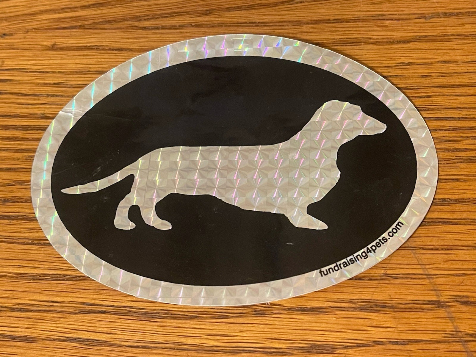 Dachshund Oval Dog – Decal Sticker – 5×3-1/2 Inch Free Ship