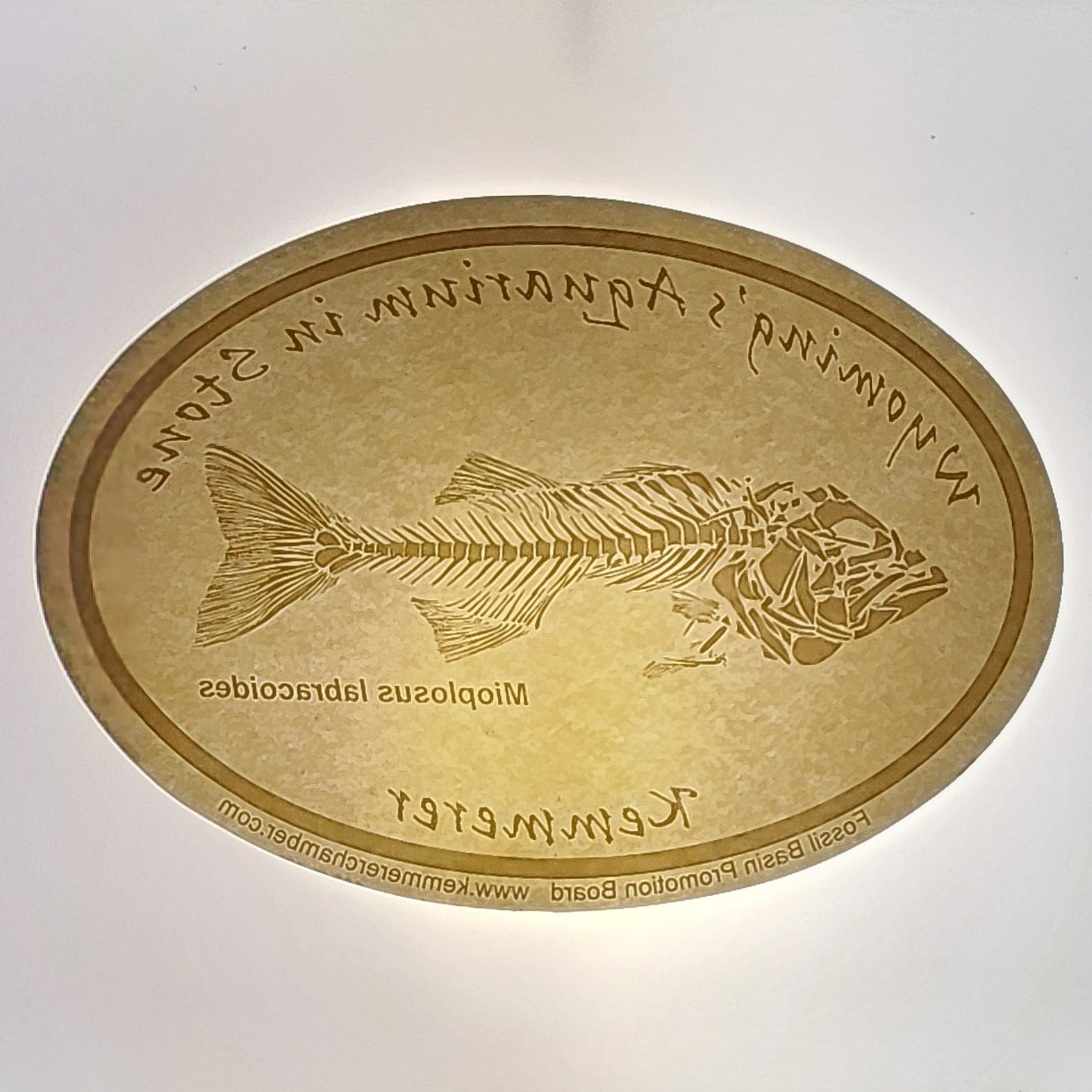 Fossil Butte National Monument WY An Aquarium in Stone Kemmerer Decals CLEAR/WHT
