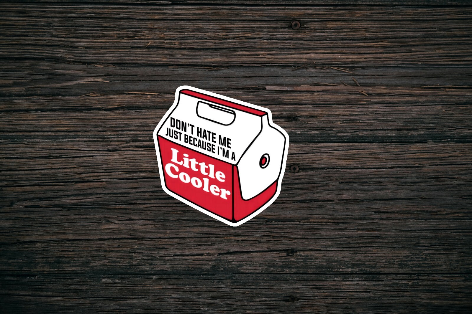 Don't Hate Me Just Because I'm A Little Cooler sticker waterproof glossy vinyl