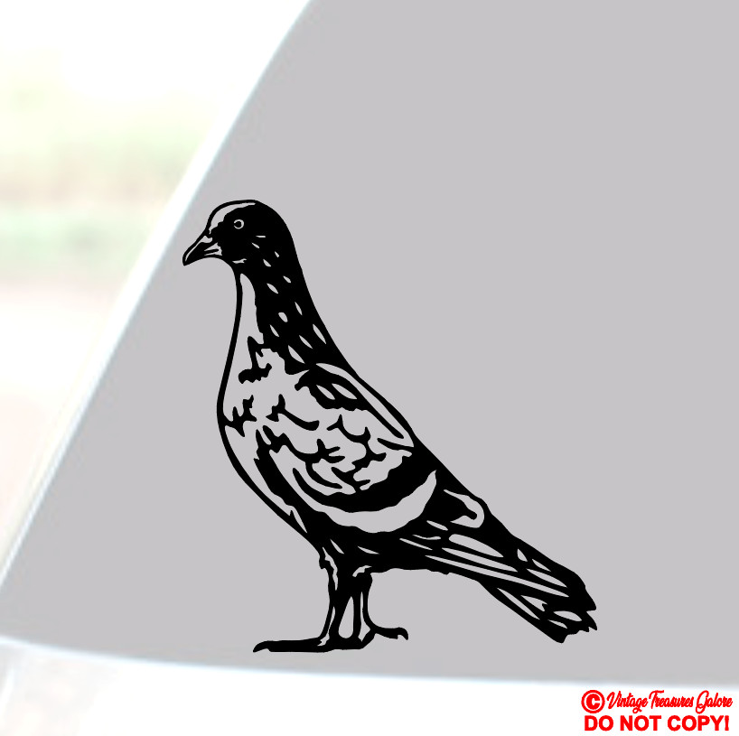 PIGEON ROCK-DOVE DOMESTIC BIRD Vinyl Decal Sticker Car Truck Window Wall Bumper