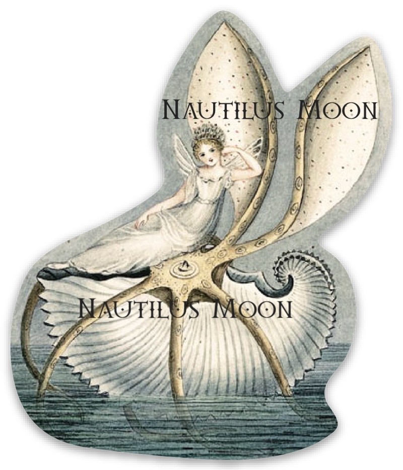 Fairy on a Nautilus Vinyl Sticker Die Cut 3" Tall – Free Shipping