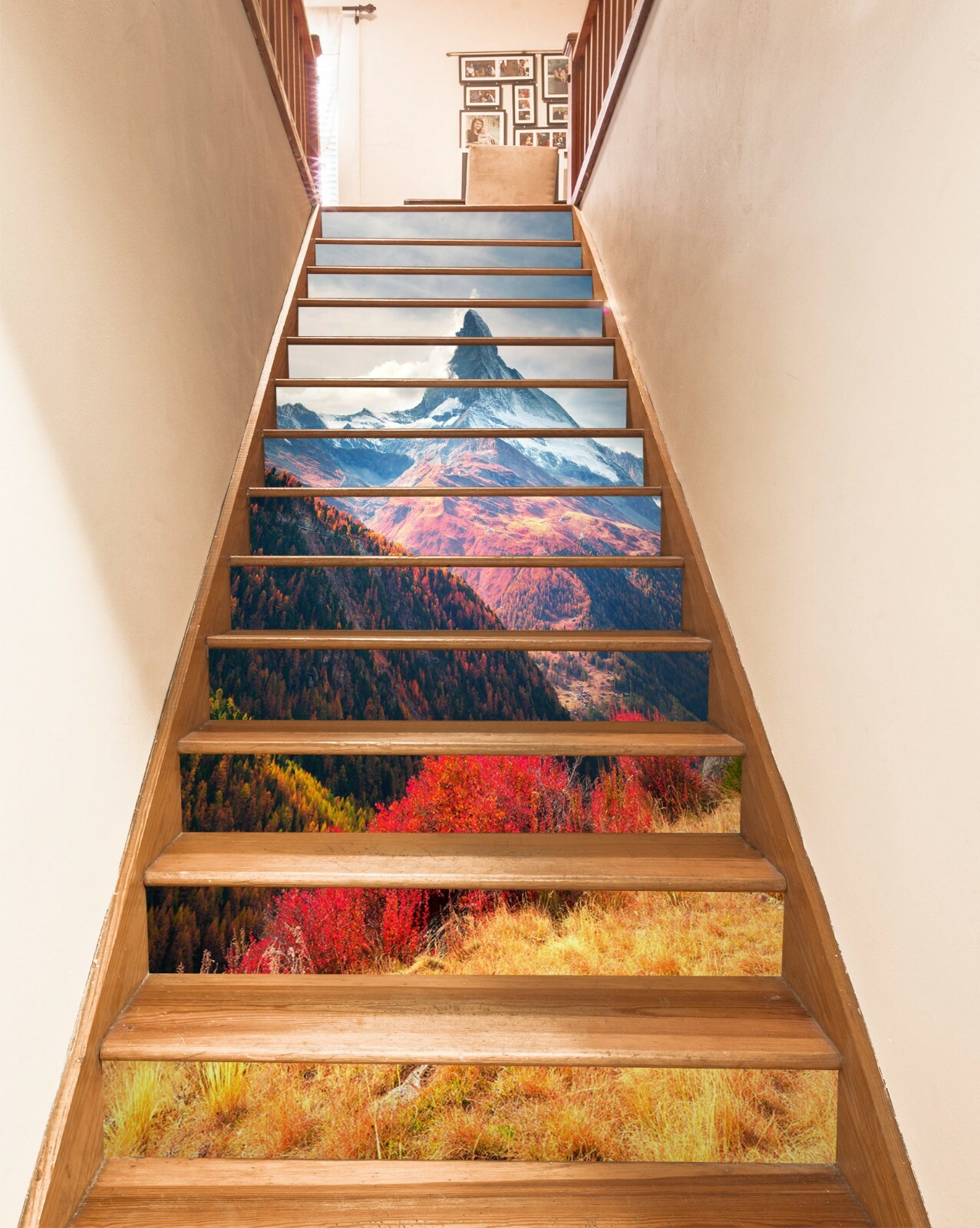 3D Mountain Grass NA449 Stair Risers Decoration Photo Mural Decal Wallpaper Fay