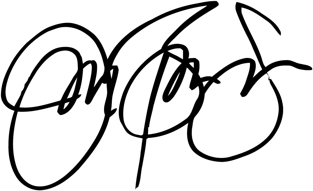 Jon Bon Jovi autograph VINYL DECAL paul epiphone gibson guitar sticker signature