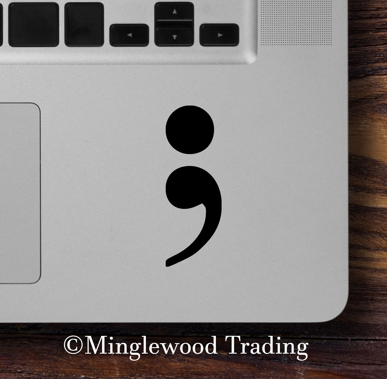 2x SEMICOLON 2.5" x 1" Vinyl Decal Stickers – Semi-Colon – Hope Awareness