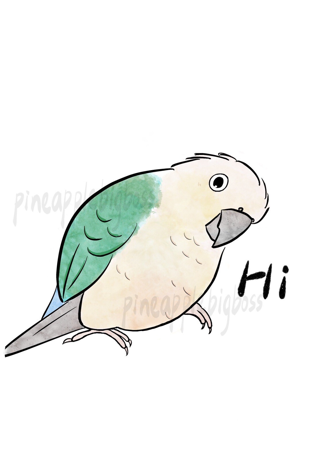 Green Cheek Conure CAR Stickers turquoise pineapple Outdoor use / UV Water Proof