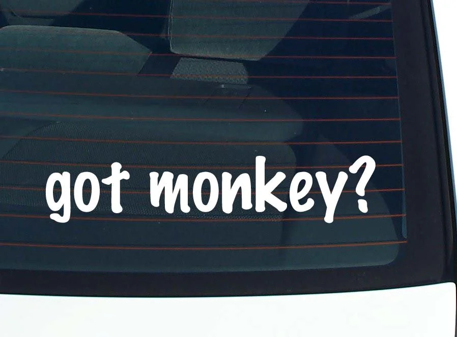 got monkey? CAR DECAL BUMPER STICKER VINYL FUNNY JOKE WINDOW