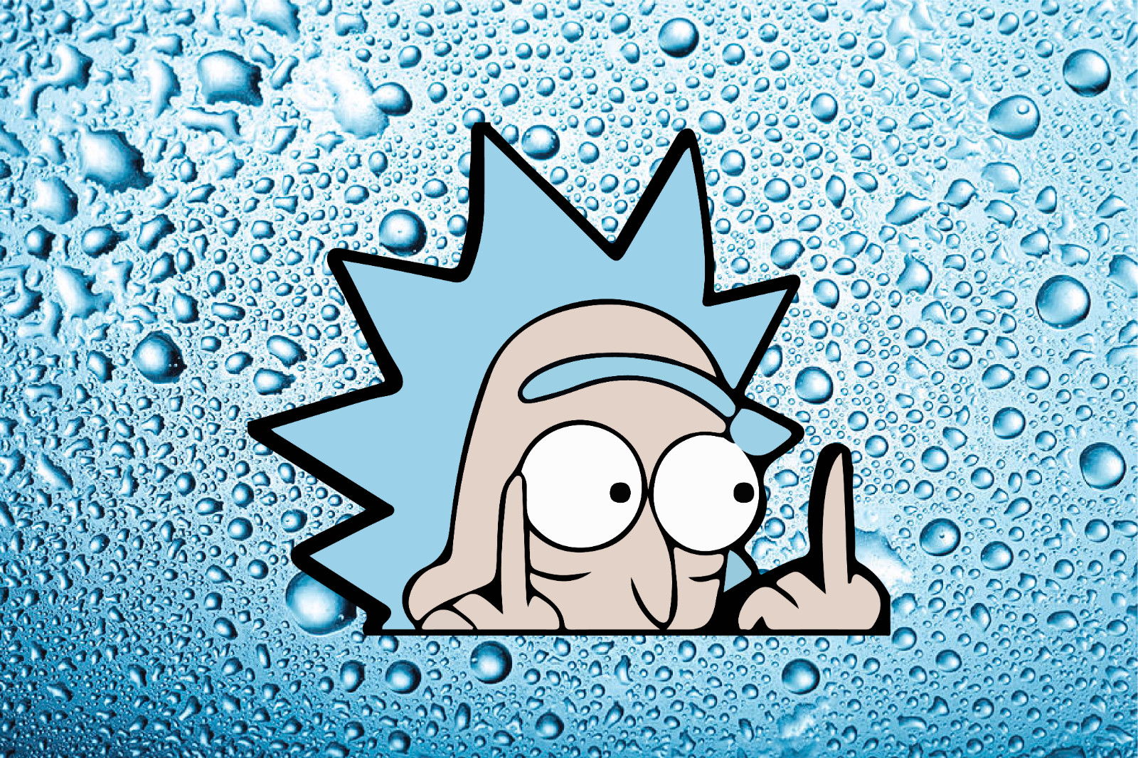 Rick and Morty Vinyl Decal Sticker 5" x 3.2" Cartoon Middle Finger Rick Only