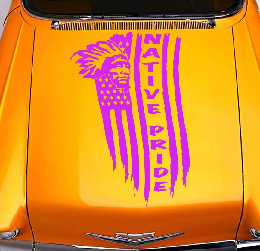 Native American Tattered Flag Chief Apache Navajo Pueblo Hopi Zuni Sticker Decal