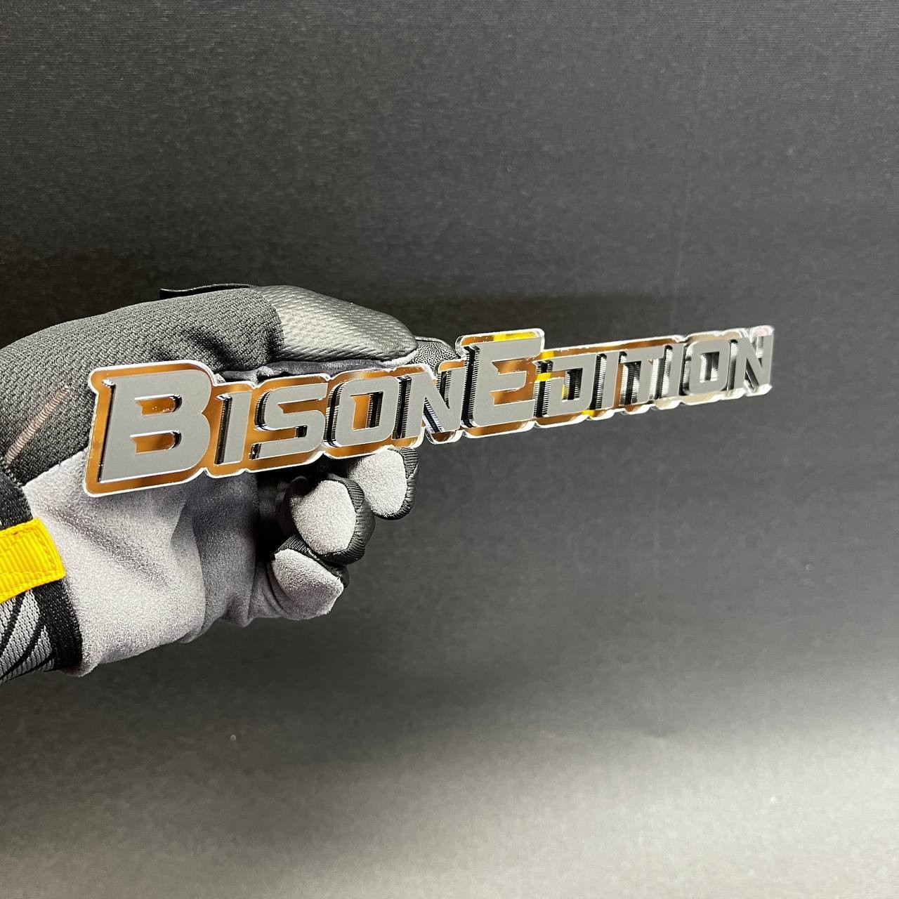 1PC BISON EDITION Custom 3D Text Car Badge Fender Emblem Tailgate Toolbox Decal