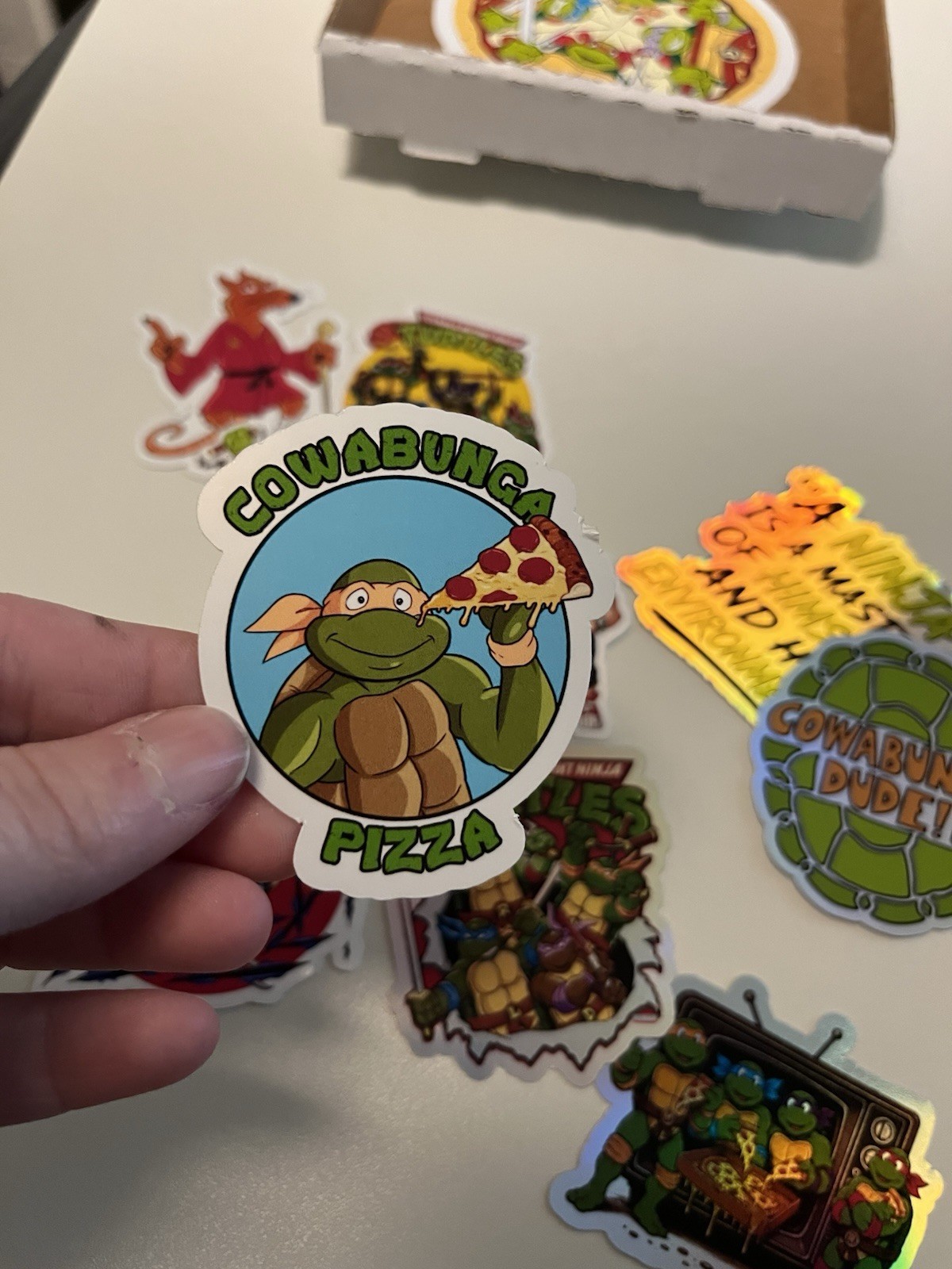 Teenage Mutant Ninja Turtles Mystery Sticker Pack Pizza Box + Coloring Book