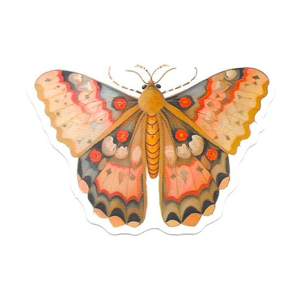 Tiger Moth Vinyl Sticker Vintage Orange Insect Journal Laptop Scrapbook