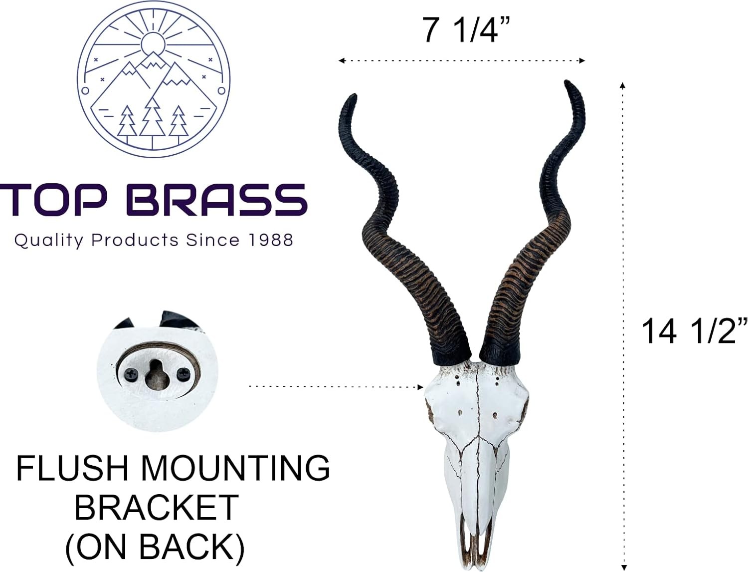 14 1/2" African Kudu Antelope Skull – Wall Mount Head – Rustic Safari Decor