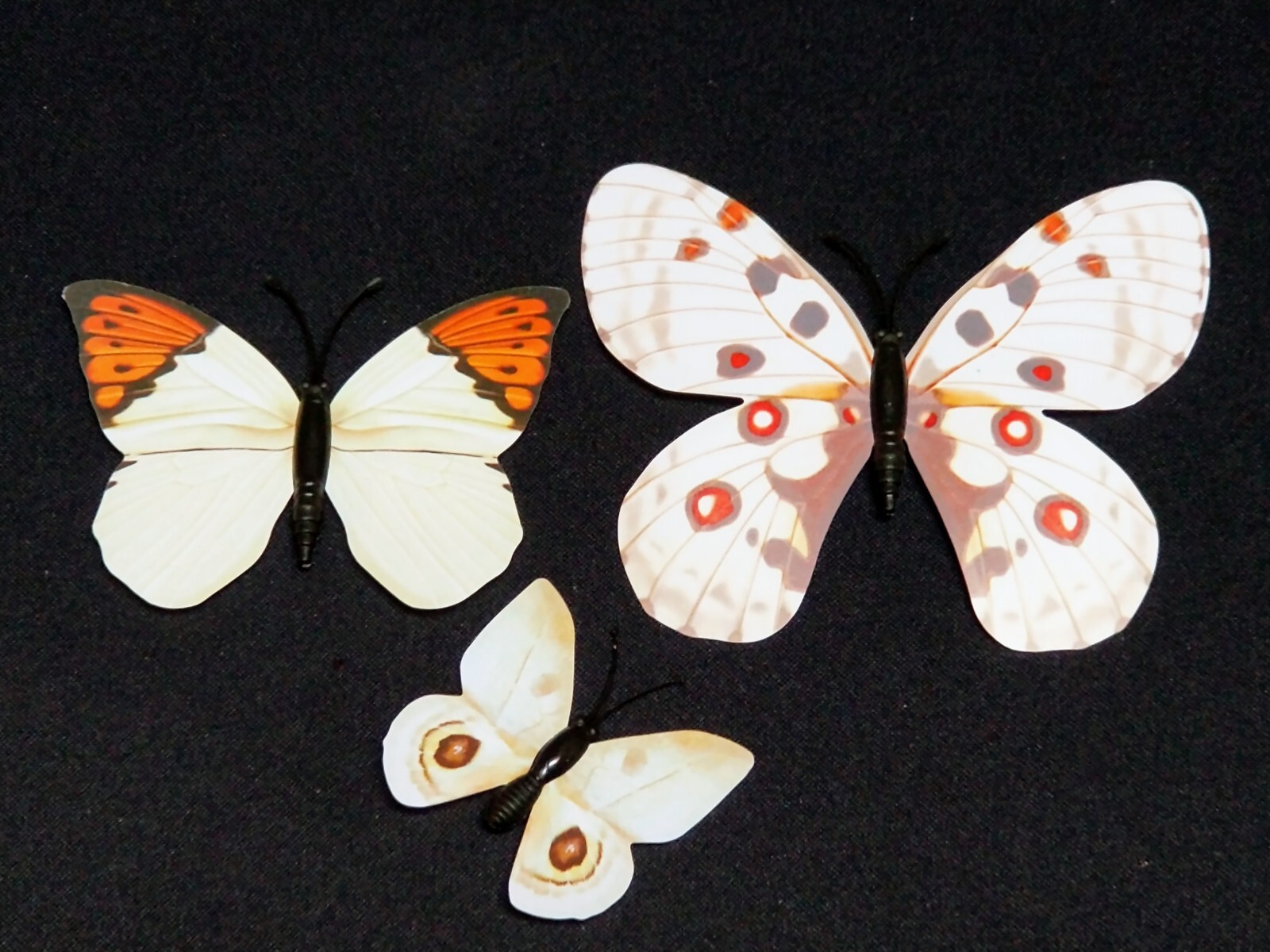 NEW , 12 Paper & Plastic Butterfly Pin set . Each Different, has sticky tabs.
