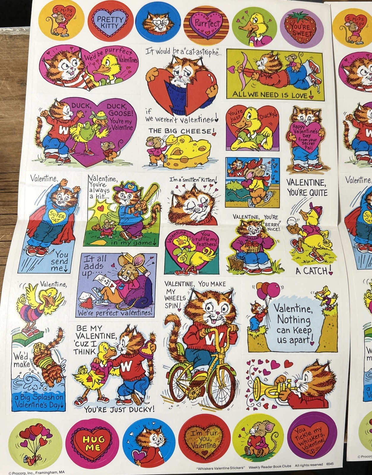 80’s Vintage Whiskers Valentine Stickers Cat Weekly Reader Kitty Duck Valentines