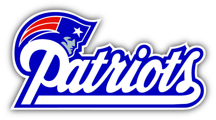 New England Patriots NFL Football Sport Logo Car Bumper Sticker Decal "SIZES"