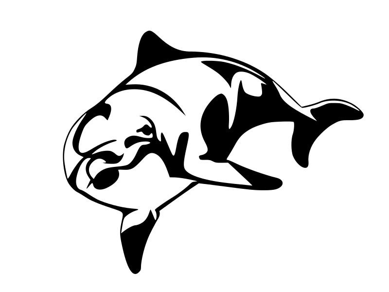 DOLPHIN Curious Dolphin Vinyl Decal Car Truck Wall Sticker CHOOSE SIZE COLOR