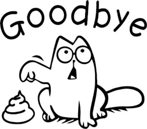 Goodbye Toilet Decal Sticker – Fun Bathroom Decor for Easy Home Makeover – 2402