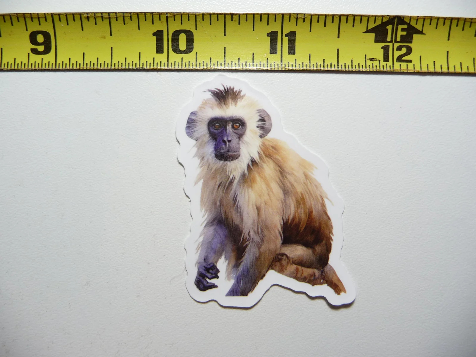 AFRICA VERVET MONKEY SMALL STICKER DECAL WILDLIFE PRESERVE NATURE ANIMAL
