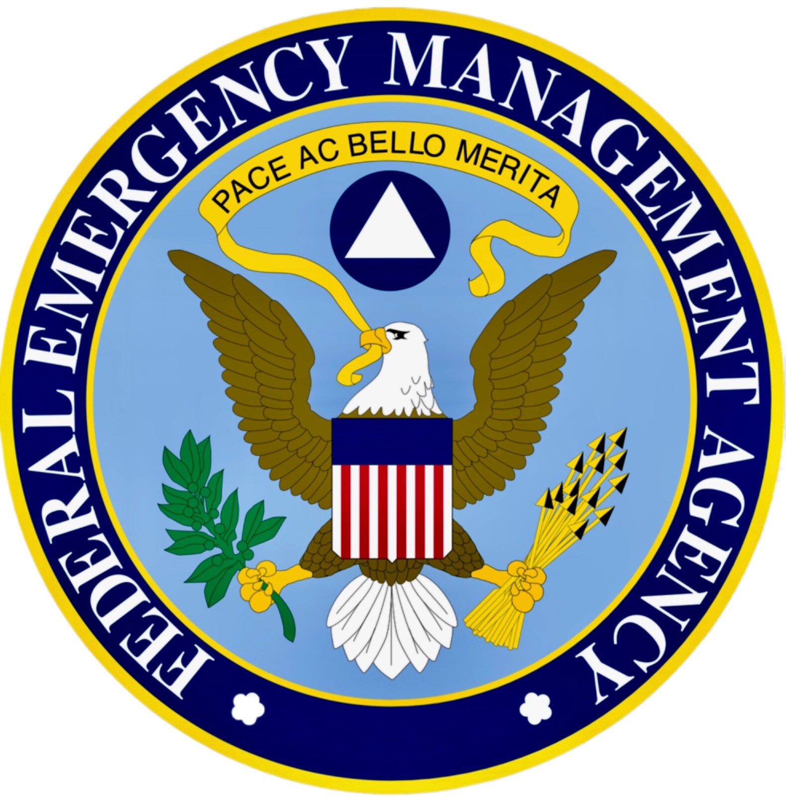 FEMA sticker vinyl laminated glossy HHS DHS NDMS patriotic USA