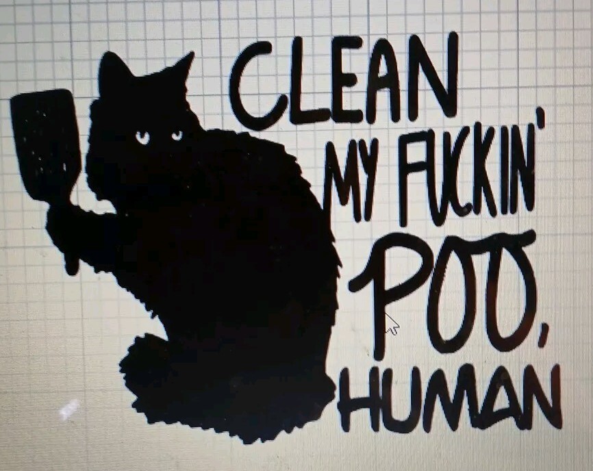 Clean My Fu*kin Poo Cat Decal