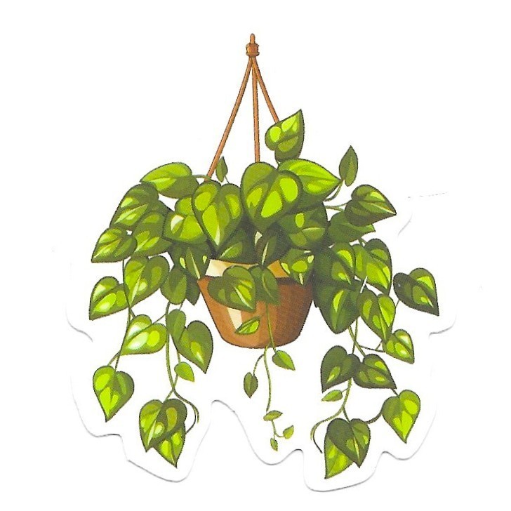 Pothos Hanging Vine Vinyl Sticker Die Cut Plant Journal Scrapbook Laptop