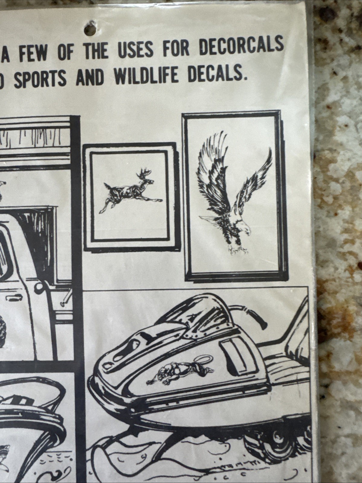 NOS 1986 Hand Painted Eagle Decals Stickers Sports & Wildlife Decorcal USA Made