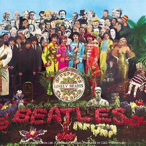 The Beatles SGT Pepper Sticker Decal Official Rock