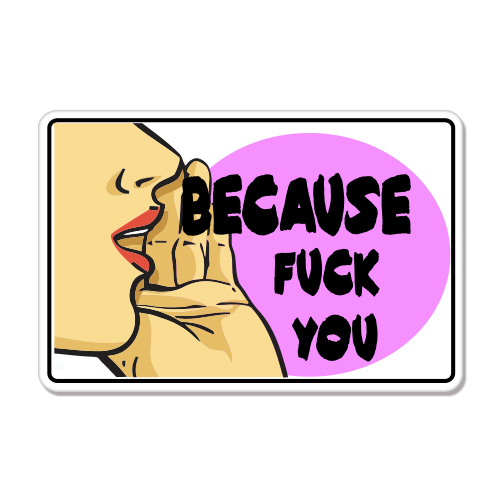Because F* You Funny car bumper sticker decal 6" x 4"