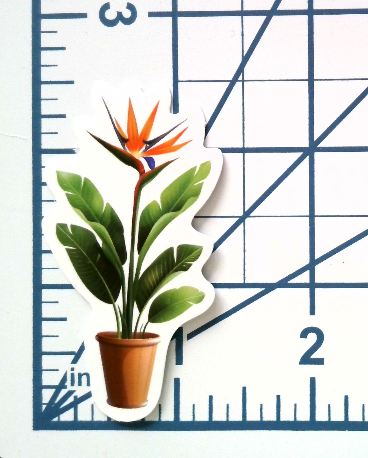 Vinyl Sticker Die Cut Bird of Paradise Decal Tropical Flower Houseplant Gift