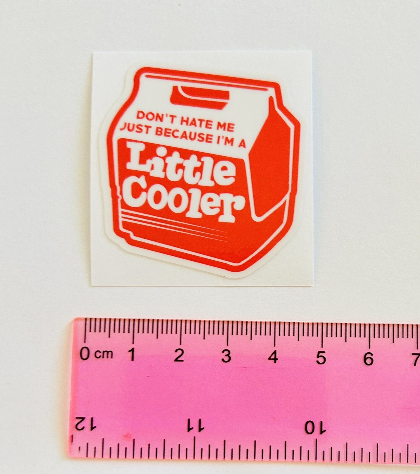 Don’t Hate Me Because I’m A Little Cooler Vinyl Decal Sticker Humor