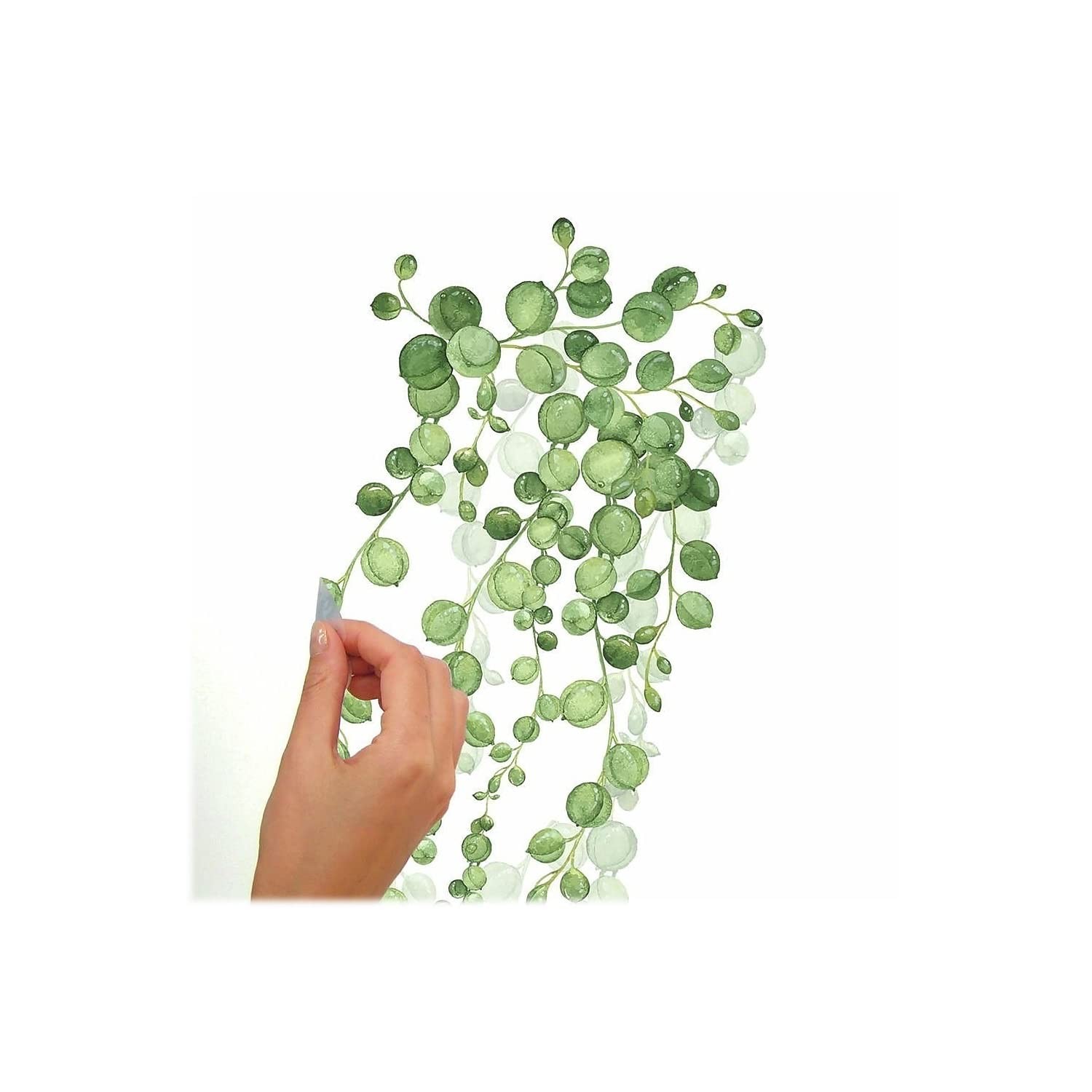 RMK3903SCS String of Pearls Succulent Vine Peel and Stick Wall Decals