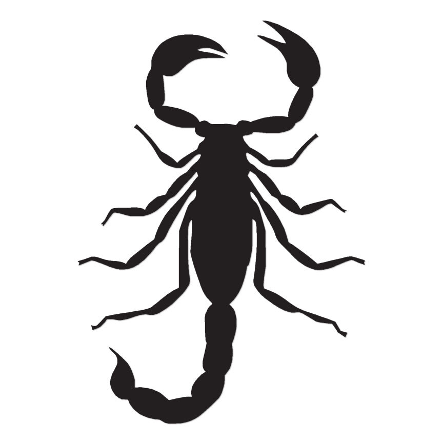 Scorpion Stinger – Vinyl Decal Sticker – Multiple Colors & Sizes – ebn2893