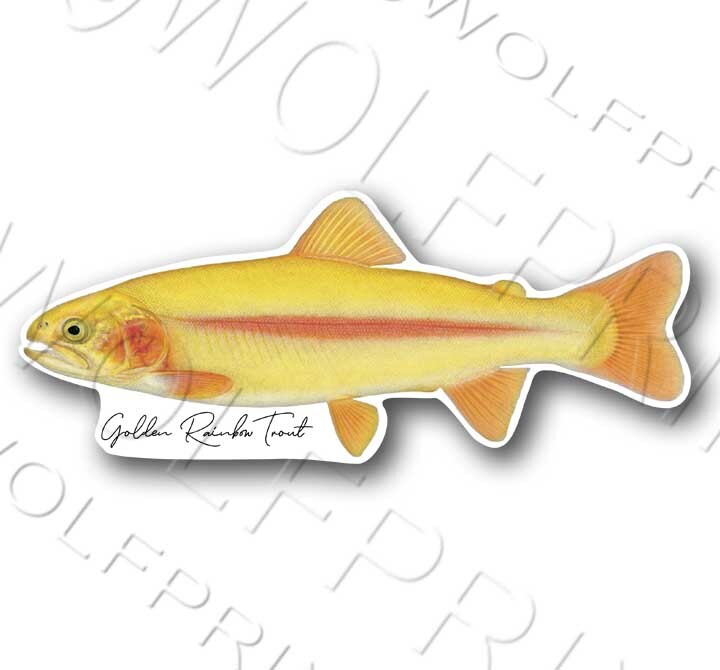 Northern Pike Fish Sticker 6" or 11" Wide Walleye Bass Boat Car Window Decal