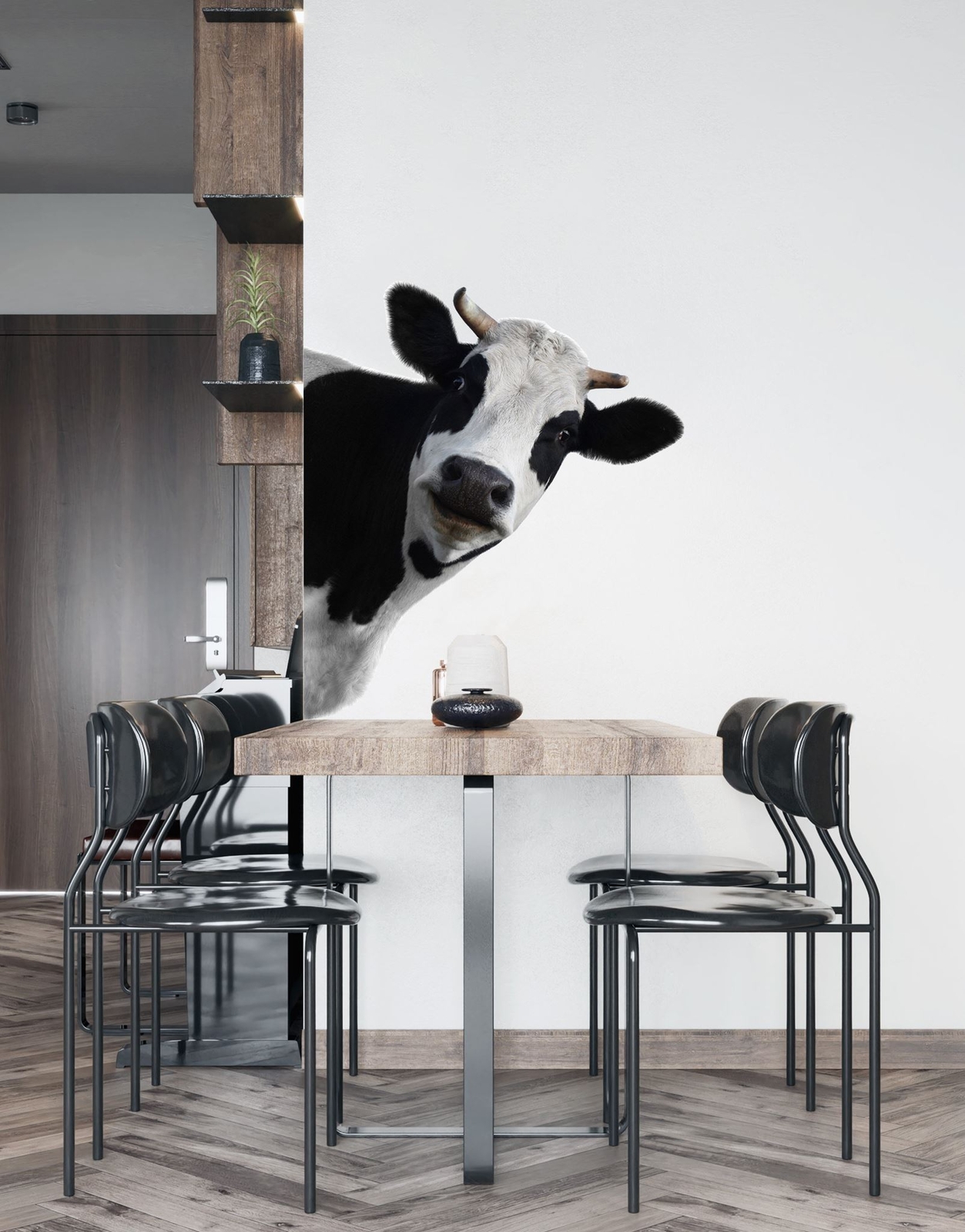 Peeking Cow Wall Decal Color Graphics. #6266