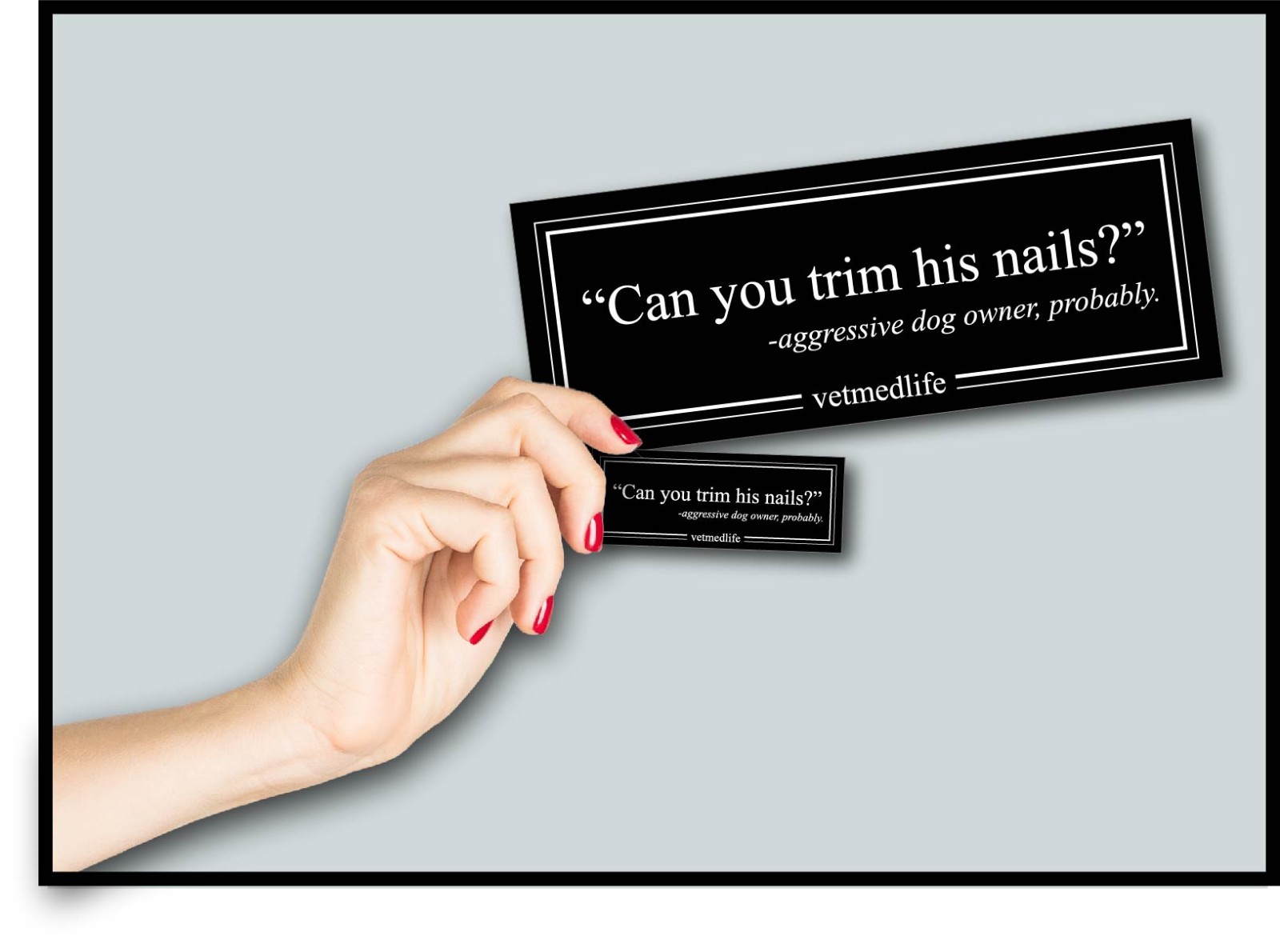 Can You Trim His Nails? Vet RVT Med Life Decal Sticker Aggressive Dog Quote Care