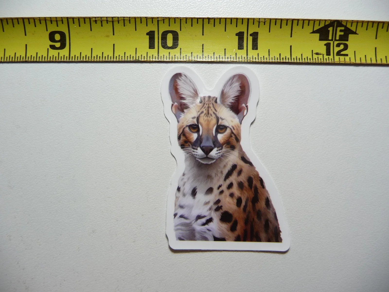 PORTRAIT WILD SERVAL CAT SMALL STICKER DECAL WILDLIFE PRESERVE NATURE ANIMAL