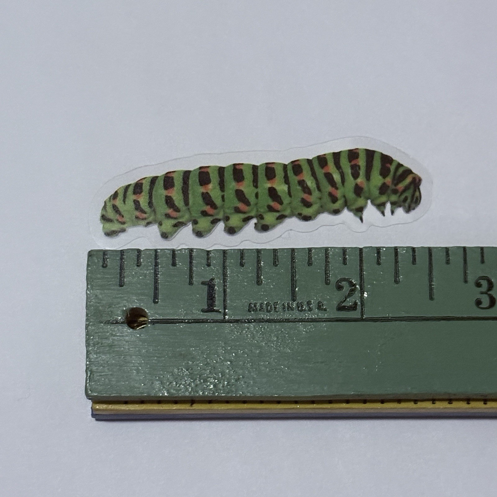 Fifth Instar Caterpillar Sticker Realistic Insect Art Transparent Decal Tc9