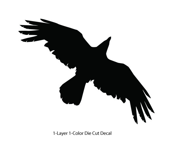 Wildlife – Birds – Soaring Raven/Crow/Corvid – 6Yrs Outdoor Vinyl DieCut Sticker