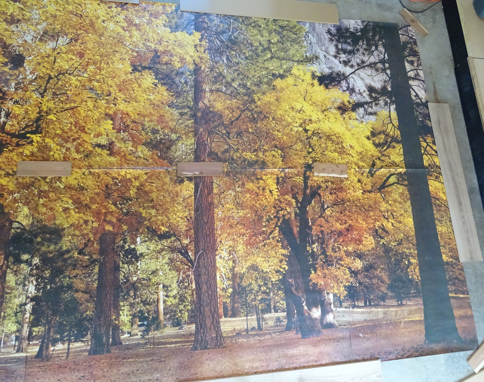 Full Wall Photo Mural Autumn Yosemite National Park Josef Muench 8’ 8” x 12’ 6”