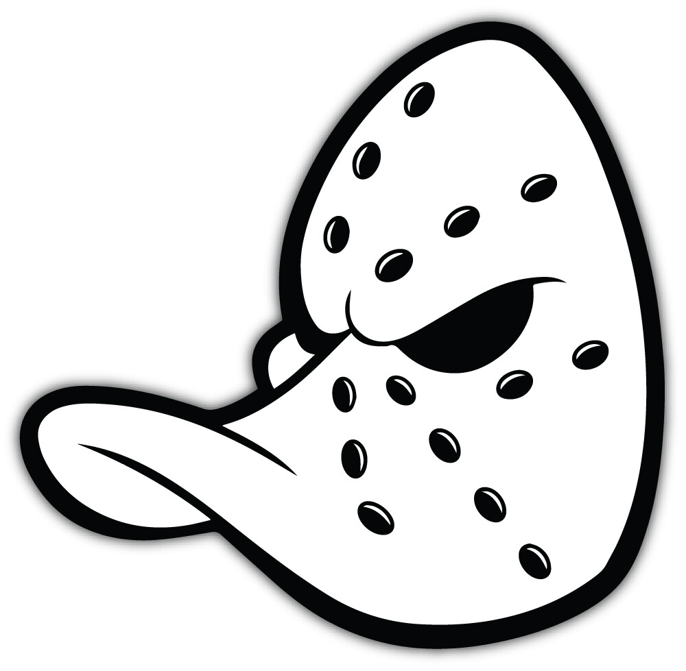 Anaheim Mighty Ducks NHL Car Bumper Sticker Decal ID:6 "SIZES"