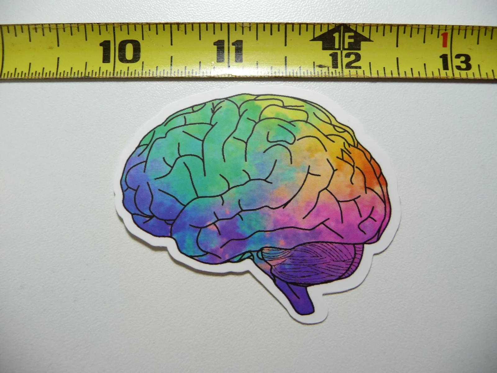 COLORFUL IMAGE OF THE BRAIN SMALL STICKER DECAL SCHOOL COLLEGE TEACH TEACHING