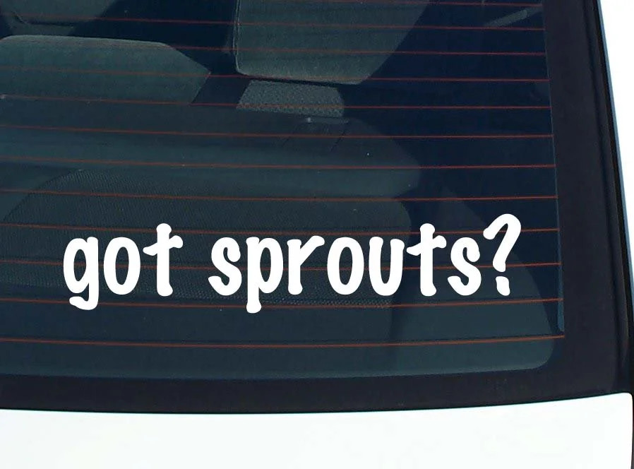 got sprouts? CAR DECAL BUMPER STICKER VINYL FUNNY JOKE WINDOW
