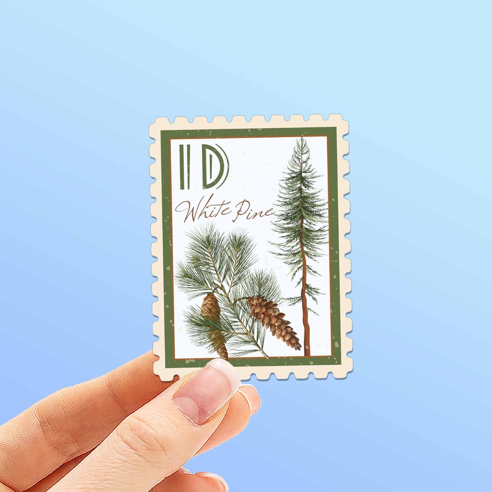 Idaho State Tree White Pine Sticker- ID Vintage Stamp Decal