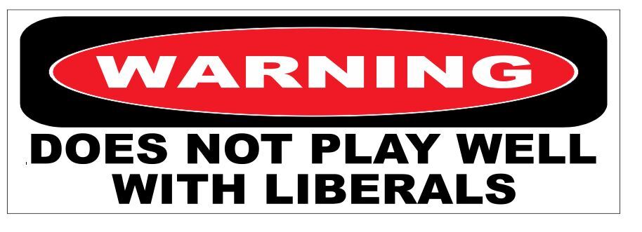 Does Not Play Well With Liberals Bumper Sticker 3" x 9" B05
