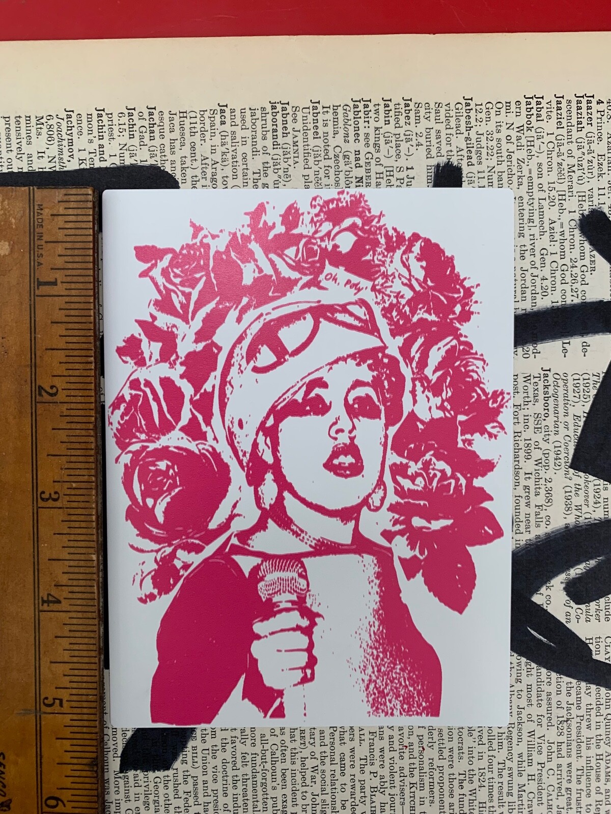 X-Ray Spex Poly Styrene PUNK 4"X5.25 vinyl sticker laptop guitar helmet car