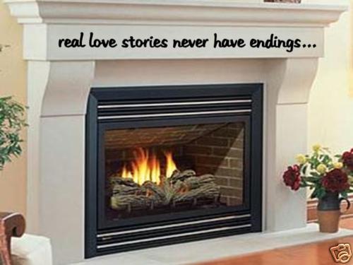 Real Love Stories Home Room Wall Art Vinyl Decor Decal Words Lettering