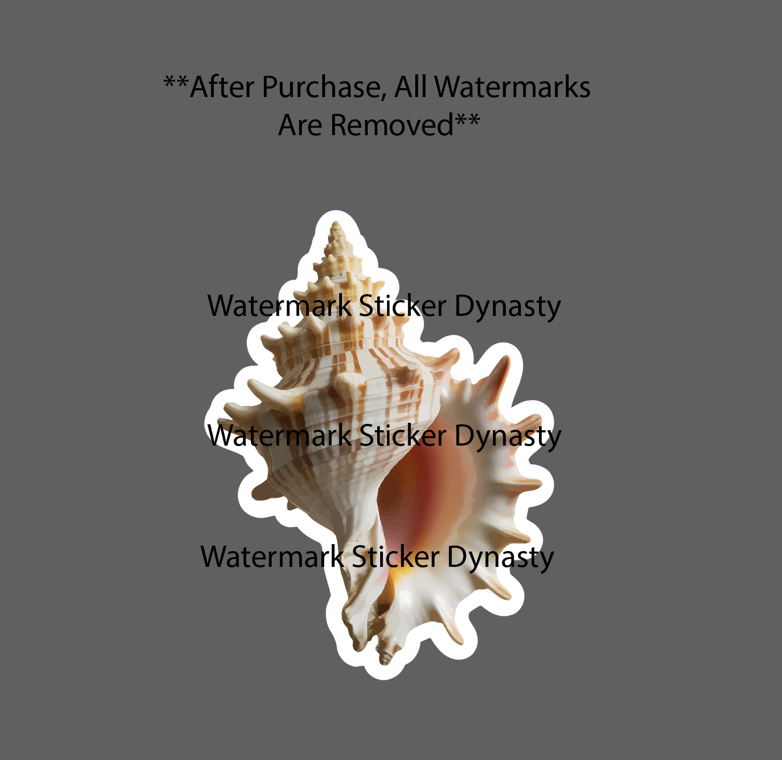 Conch Shell Sticker Waterproof Decal Ocean Beach Tropical Island Gift NEW