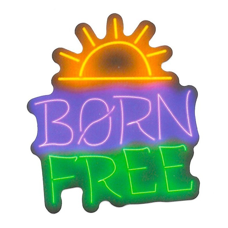 Born Free Neon Sticker Die Cut Vinyl Decal Sunrise Freedom Hippie Journal
