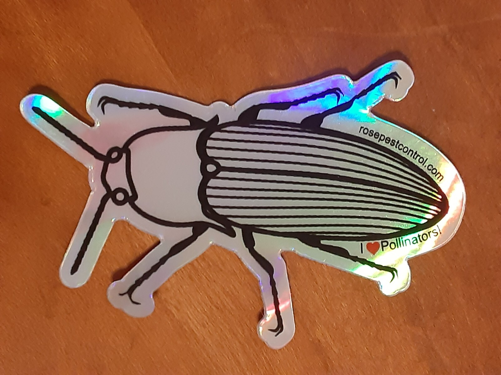 Roach Sticker – Bug – Silver and Shimmery – 3 Inches by 2 Inches – Brand New 